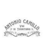 Cantina Antoni Camillo