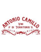 Cantina Antonio Camillo