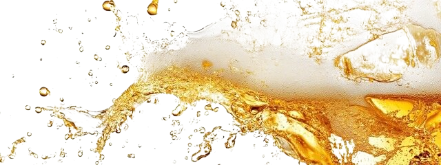 240 f 987064794 yos9jfrybkewbwhy6s1rszun976oarcc